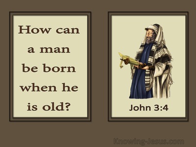 John 3:4 How Can A Man Be Born Again (brown)